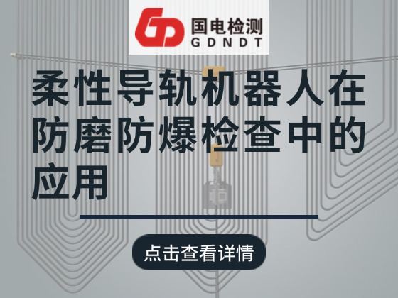 柔性导轨机器人